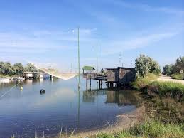 Ravenna Tra Storia E Natura L Isola Degli Spinaroni Ravenna Natura Isola