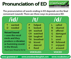 past simple english lessons english grammar english phonics