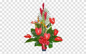 You can take a walk near the. Christmas Tree Plant Flower Blossom Anthurium Transparent Png Pngset Com