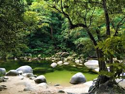 We would like to show you a description here but the site won't allow us. Daintree National Park Insider Tipps Und Die Top Highlights