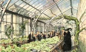 What did j k rowling call her herbology class? Herbology Classroom Concept Artwork 01 Jpg Harry Potter Artwork Herbology Classroom Harry Potter Art Drawings