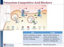 Image result for Potassium Competitive Acid Blocker