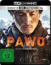Amazon.com: PAWO