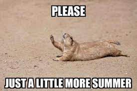 Ri Blogger Happy Labor Day And Unofficial End Of Summer Moresummer Rhodeisland Summer Labordayweekend Facebook