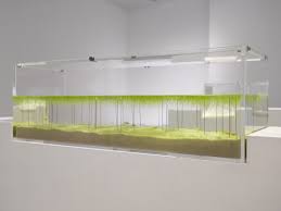 Find 1 listings related to affinity waterscapes in concord on yp.com. Haruka Misawa S 3d Printed Waterscapes Design Milk