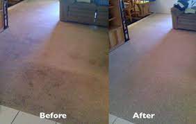 Check spelling or type a new query. Westchester Ny Carpet Cleaning With Carpet Protector