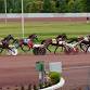 Live Harness Racing event in Wilkes-Barre, PA