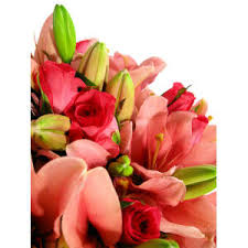 Compare and send fresh flower arrangements to your loved ones in sydney. Buy Sympathy Funeral Flowers Flowers Across Sydney