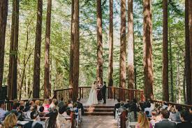 Amphitheatre Of The Redwoods At Pema Osel Ling Wedding And Event Venue Santa Cruz Mo Bay Area Wedding Venues Forest Wedding Venue California Wedding Venues