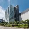 23 hours ago · tsmc, which posted record quarterly sales, said it will expand production capacity in china and does not rule out the possibility of a second phase expansion at its $12 billion factory in arizona. 1