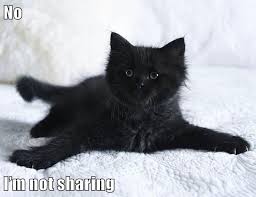 No I M Not Sharing Lolcats Lol Cat Memes Funny Cats Funny Cat Pictures With Words On Them Funny Pictures Lol Cat Memes Lol Cats