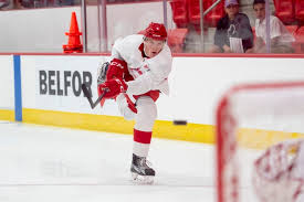 Let's check, how rich is elmer söderblom in 2020? Seven Red Wings Prospects To Compete At World Junior Championships