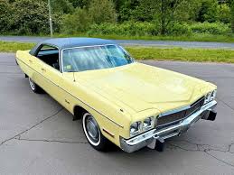 Image result for Chestnut 1973 Fury