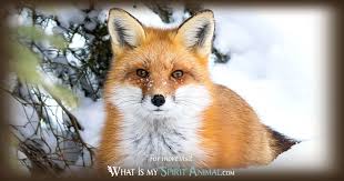 On this page you'll find free samples from my range of printable coloring books and published coloring books, which have sold over 3.5 million copies worldwide!these coloring pages are also fun for teens, tweens and kids! Fox Symbolism Meaning Spirit Totem Power Animal