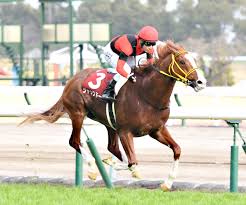 アン ブライドル ズ ソング