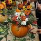 Pumpkin Centerpiece Design Party event image
