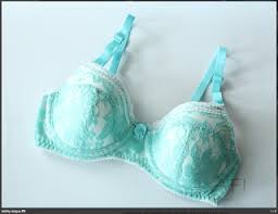 Check spelling or type a new query. Bra Sewing My Very First Me Made Bra Maya By Afi Atelier Lilypadesigns