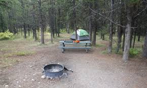 A less heavily developed campground with sites in the spruce and fir forest. Colter Bay Campground Grand Teton Camping Reservations Alltrips