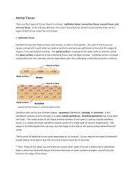 These tissues vary in their structure, function, and origin. Animal Tissues Organization