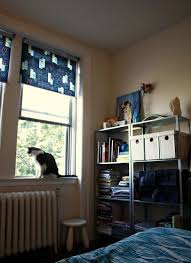 Materials Plastic Dropcloth Tape 2 Ikea Enjes 4 Yards Of Fabric Sobo Or Another Fabric Glu Roller Blinds Living Room Living Room Blinds Blinds For Windows