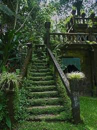Garten Verwunschener Garden Garten Eine Herrliche Treppe Im Verwunschenen Mrch Eine Garden Garten Herrliche M In 2020 Garden Stairs Secret Garden Dream Garden