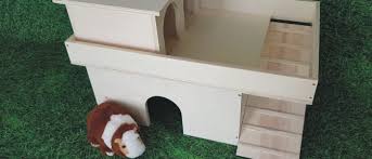 Besonders häuschen lieben meeries, sie lieben es von einem haus zum anderen haus zu huschen. Meerschweinchen Gluck Meerschweinchen Hauser Und Mehr