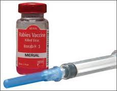 1 day ago · rabies vaccine for humans market research is an intelligence report with meticulous efforts undertaken to study the right and valuable information. Rabies Vaccine Argentina Pdf Ppt Case Reports Symptoms Treatment