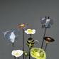 Flowers and Pollinators - Lampwork Glass Houseplant Stakes
