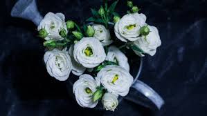 Explore and share the best blooming flower gifs and most popular animated gifs here on giphy. Best Blooming Flowers Gifs Gfycat