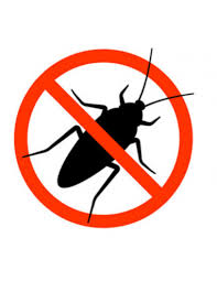 Parece que las cucarachas prefieren correr antes que volar. Insecticida Raid Cucarachas Cocina 360cc