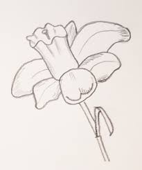 Aquí encontrarás muchas ideas sobre detalles sencillos que puedes dibujar: Dibujos De Flores Distintas Flores Para Dibujar Y Colorear