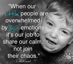 As A Parent Don T Join In The Chaos Create Some Calm And Work Through The Situation Gentle Parenting Tantrums Toddler Positive Parenting