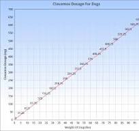 Clavamox For Dogs | Veterinary Place