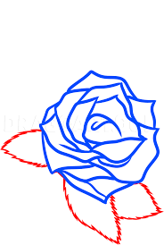 Check spelling or type a new query. How To Draw A Rose Tattoo Design Step By Step Drawing Guide By Dawn Dragoart Com