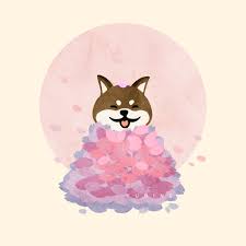 1920x1080 doge hd wallpaper and background image>. Shiba Inu Cartoon Wallpapers Top Free Shiba Inu Cartoon Backgrounds Wallpaperaccess