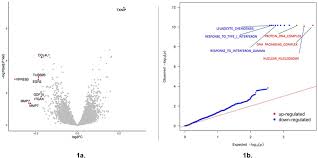 Diabetes mellitus (dm) often referred to simply as diabetes, is a group of metabolic conditions characterized by hyperglycemia. Integration Of Genomics And Transcriptomics Predicts Diabetic Retinopathy Susceptibility Genes Elife