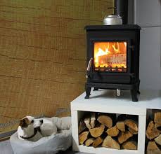 Eek A Gusskaminofen Helene Cook Mit Herdplatte Externe Zuluft Dauerbrandf 6 5 Kw In 2020 Kamin Holzwand Scheitholz