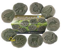 This is an online quiz called tierspuren. Tierspuren Set Betzold De