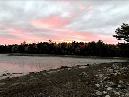 Many states still have measures in place for visitors, from testing to quarantine requirements. 3 Downeast Maine Day Trips From Cobscook Bay State Park Road Trips For Families