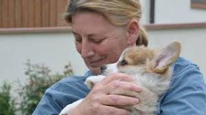 Hunde lächeln in die Kamera