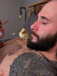 Caring for Newly Hatched Ducklings