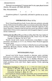 Image result for Nothosaerva