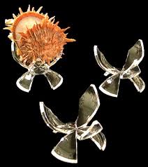 Maybe you would like to learn more about one of these? Display Stands For Sealife