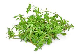 Image result for Glinus