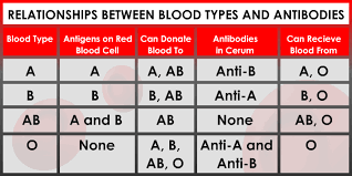 Blood Typing Abo Blood Groups And Rh Types Blood Type
