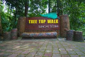 One of the attraction point in sungai sedim recreational park is tree top walk. Discover The Tree Top Walk Sungai Sedim Daytrip