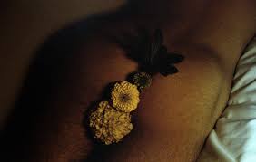 art-porn-flowers-4 - PORNCEPTUAL