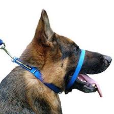 The specified trixie measurements always refer to external dimensions. Canny Dog Collar Viovet Co Uk Free Delivery Available