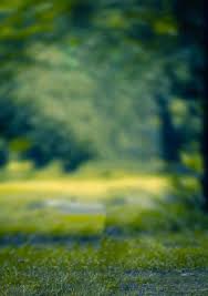 Check spelling or type a new query. Nature Cb Background Free Stock Photos For Picsart