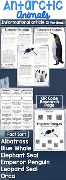 Antarctic Animals Informational Article Qr Code Research Page Fact Sort Informational Articles Antarctic Animals Informative